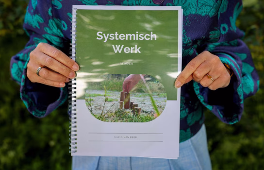 Systemisch Werk